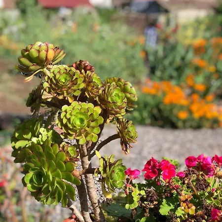 Casa Terrera El Granero