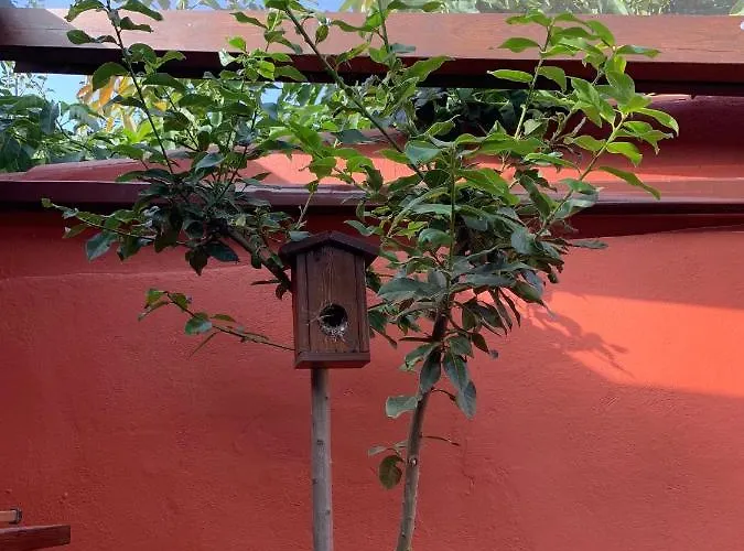 Nyaraló Casa Terrera 