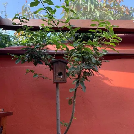 Casa vacanze Casa Terrera 